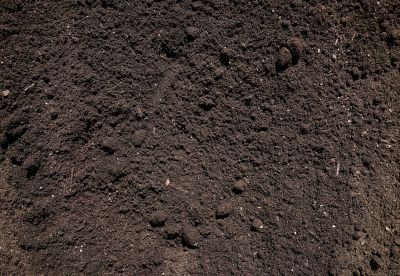 Fill Dirt Delivery