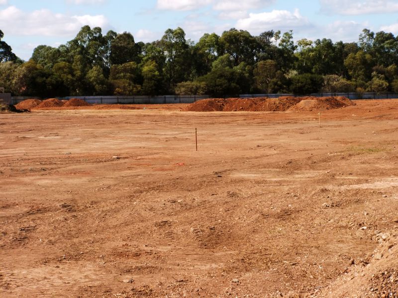 Landscape Project with Fill Dirt