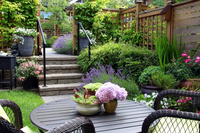 Outdoor Patio and Planting