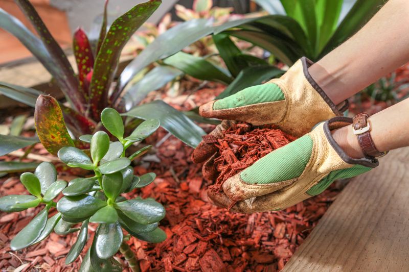 Pine Bark Mulch Installation in Honolulu, HI